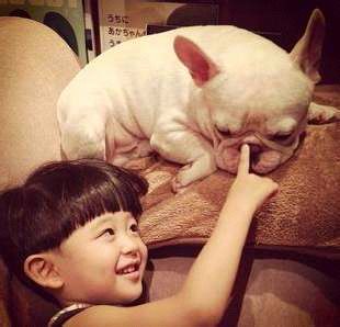 狗狗呕吐怎么办铲屎官看过来,养宠知识狗狗呕吐了怎么办