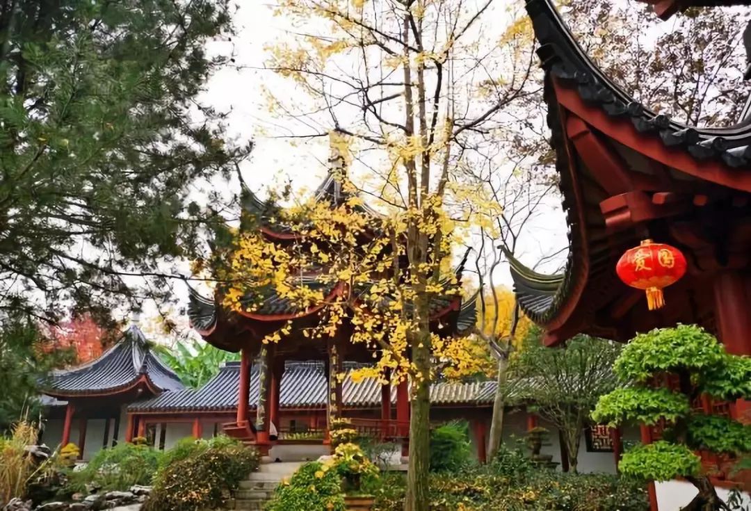 上海可以一路玩下来的地铁线,上海最新41条地铁