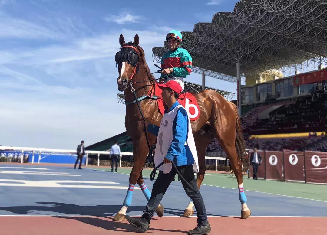 兴安盟的红色文化,文博灯光艺术节