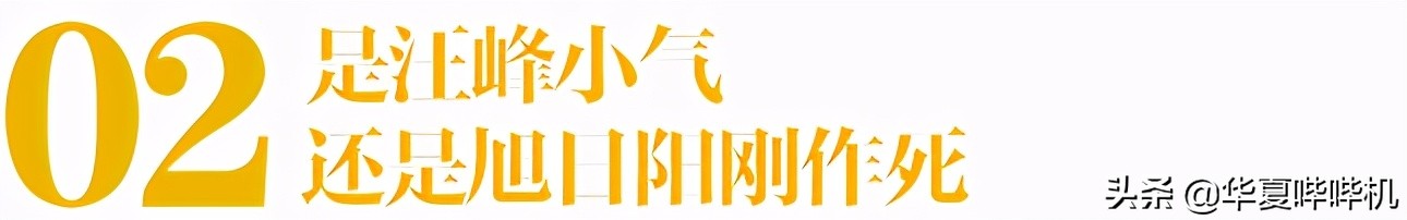 10年前爆火的旭日阳刚，是如何忽然消失的