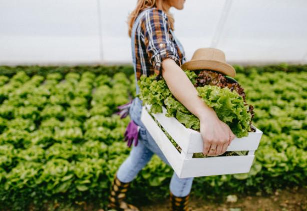 健康管理师证书没有用处？考前vs考后薪资，网友：补贴很丰沃