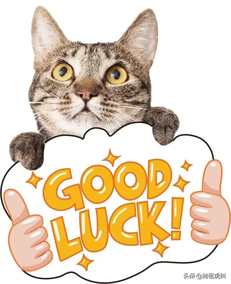 狂欢倒计时重磅秒杀价,狂欢购物季倒计时