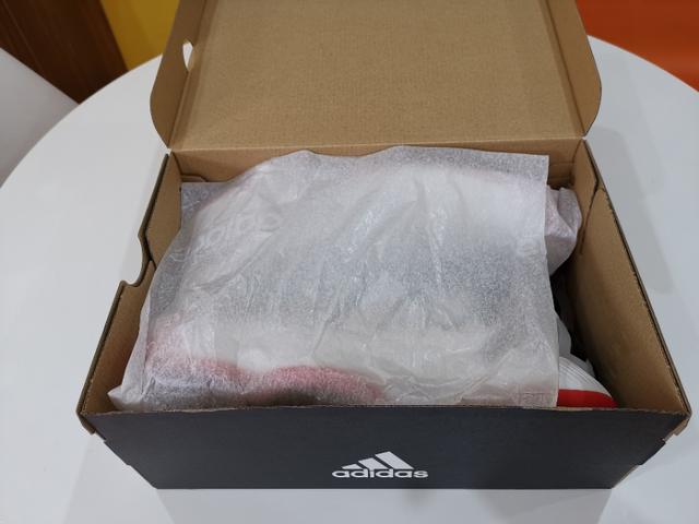 罗斯玫瑰战靴,玫瑰十年