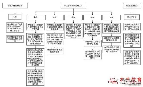武汉小学转学最新政策,小孩转学到武汉新洲怎么办理
