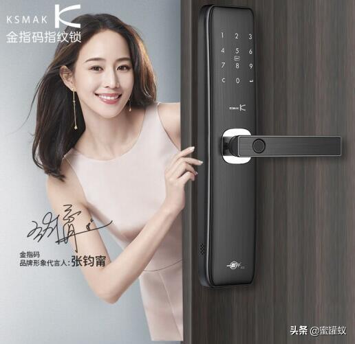 防盗门智能锁指纹锁十大品牌,智能锁十大品牌价格及图片表