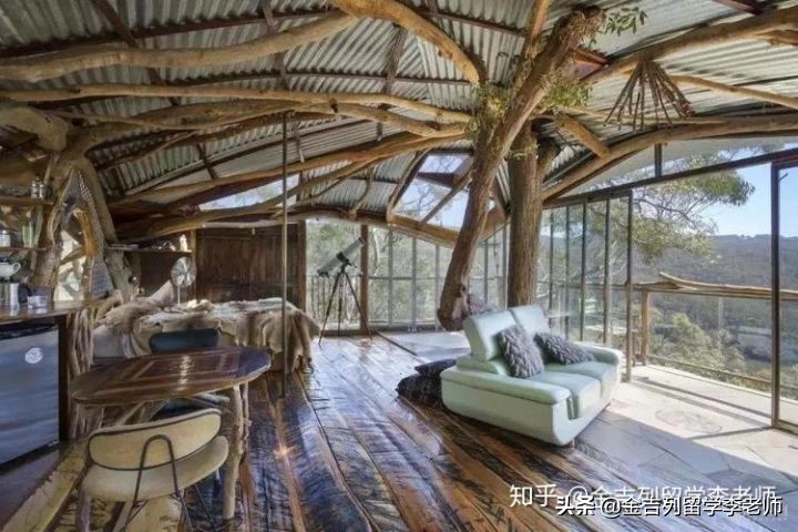 留学生常用的国内app,留学生一定不要下载这几个app