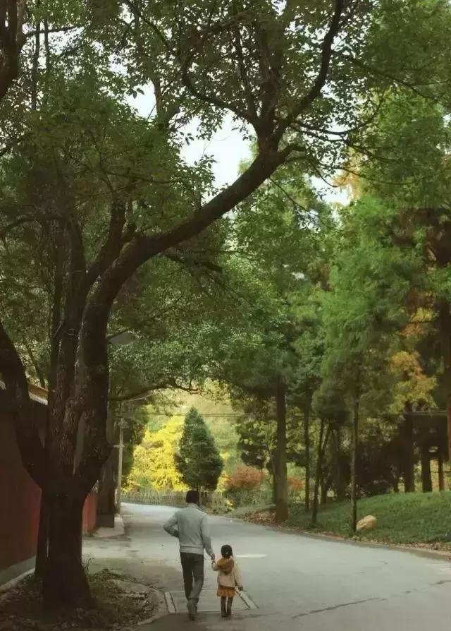 杭州天目山民宿,杭州天目山原始森林民宿