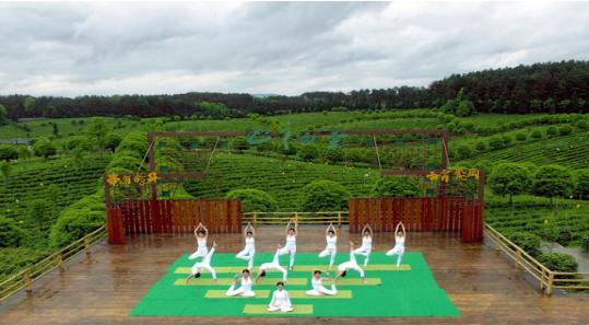 遵义最美乡村旅游图,遵义周边乡村旅游的地方