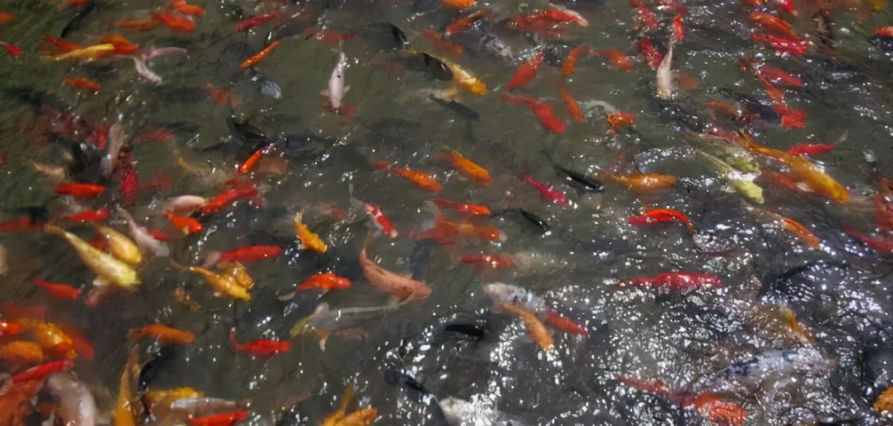 水源水质管理怎么做,城市供水水质管理规定