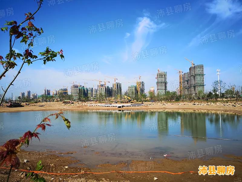 沛县微山湖休闲湿地规划,沛县2023年正在建设的项目