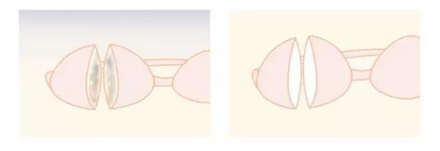 洗衣神器泡一泡就干净,颠覆洗衣液