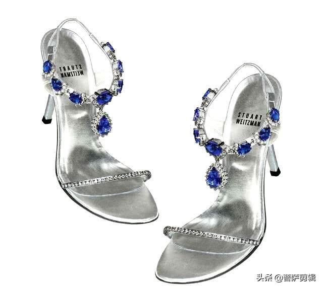 世界上最贵的1双鞋多少钱,世界上最贵一双鞋多少钱