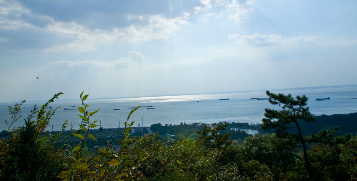 尼康d700拍星空详细教程,尼康d700入门全教程图解