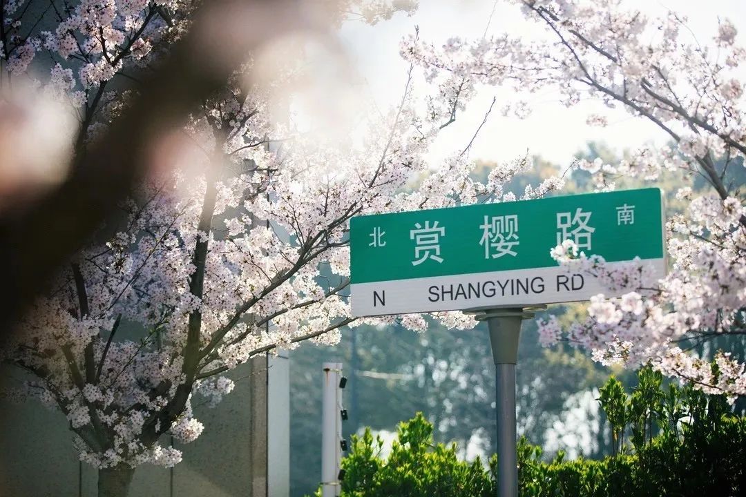 泰州职业技术学院招生咨询,泰州职业技术学院2019年招生简章