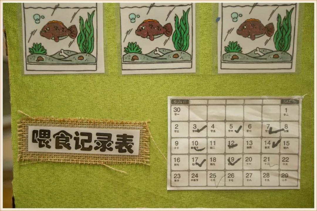 幼儿大班生命教育环境创设,大班新学期环境创设实施方案