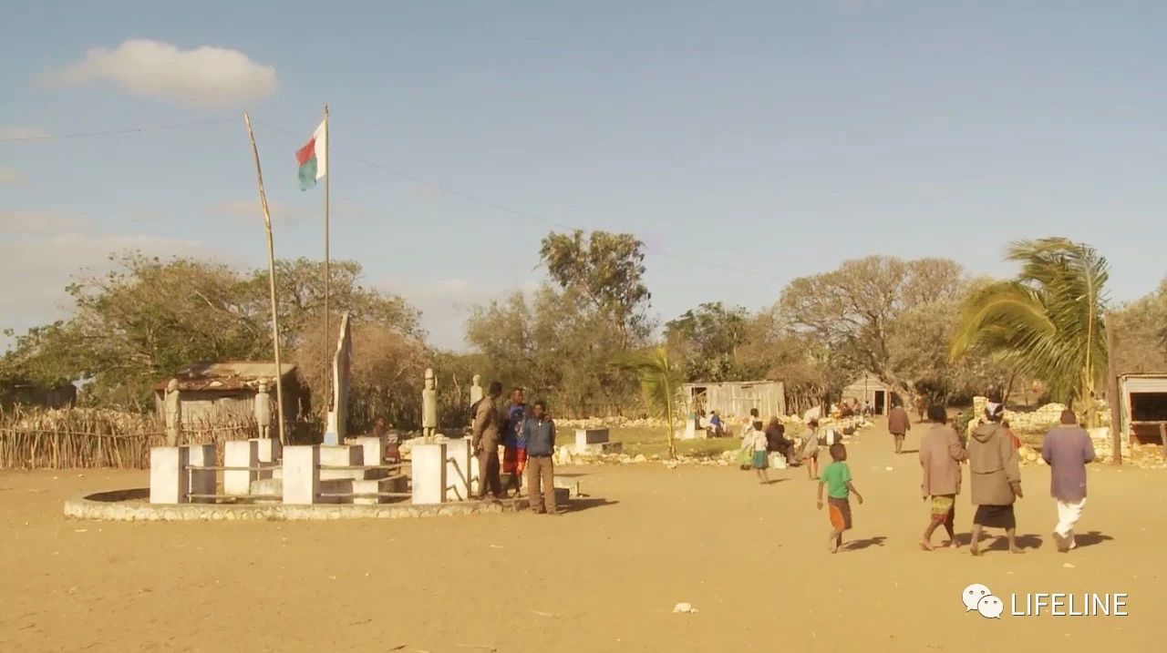 龟中“考拉”，请别让我们的孩子在博物馆见到它们...