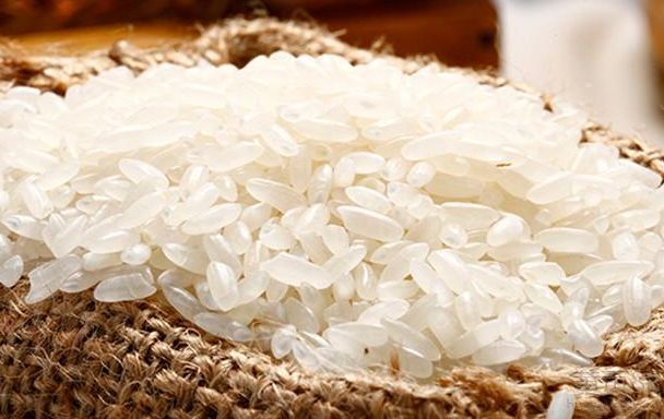 大米除虫小妙招,防止大米生虫的方法小妙招视频