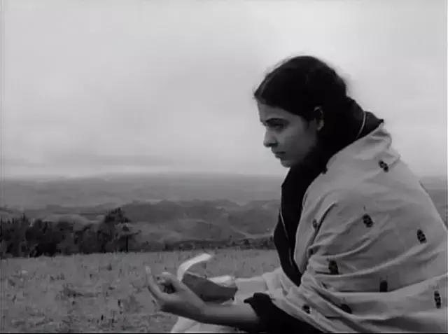 平遥电影展片单,平遥电影节第七届片单