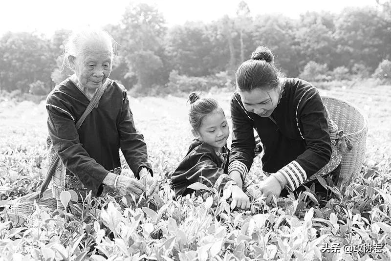 海南白沙,海南白沙有什么