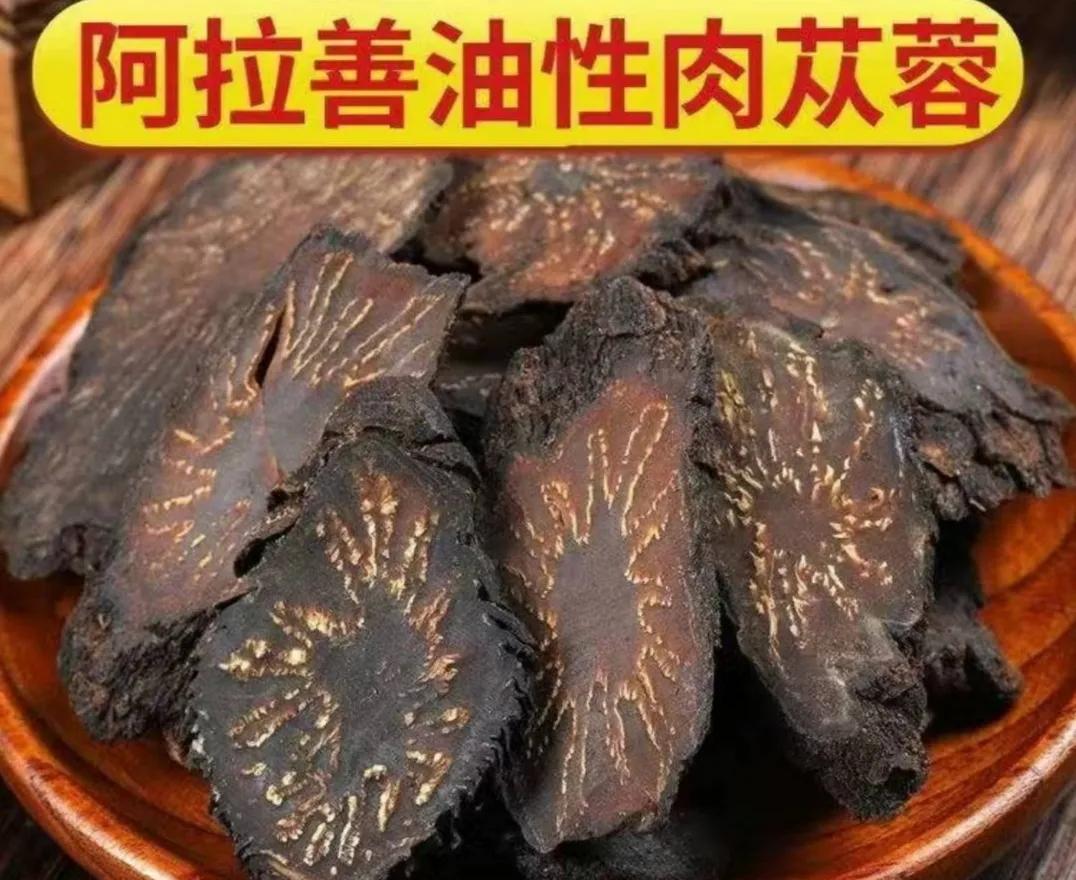 内蒙苁蓉生长在什么位置,内蒙哪产肉苁蓉