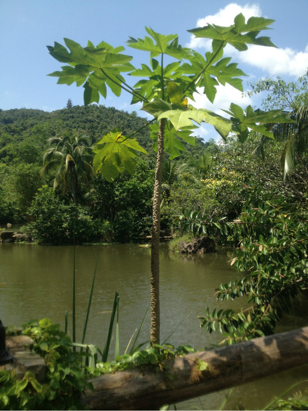 三亚自由行旅游攻略超详细哦,三亚旅游自由行全攻略