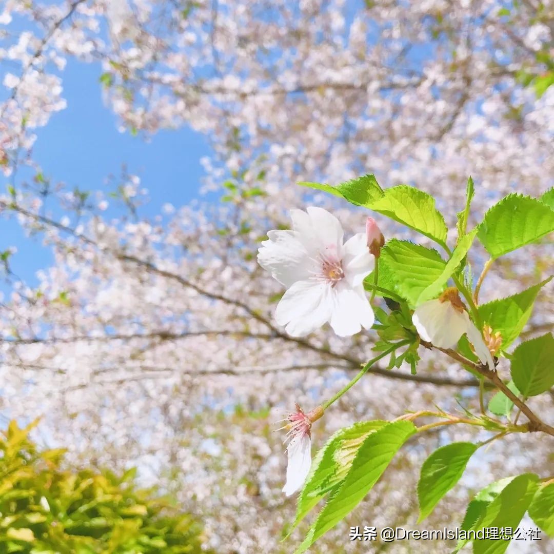 美妆好物狂欢粉底液,适合春天的粉底液