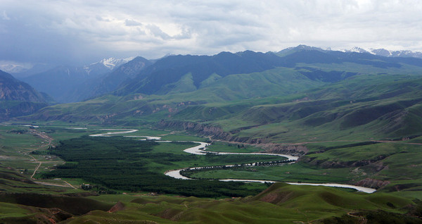 六月底的伊犁雪山,5月的伊犁草原