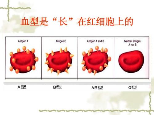 为什么血型性格论在日本那么有名,日本血型的人的性格特征