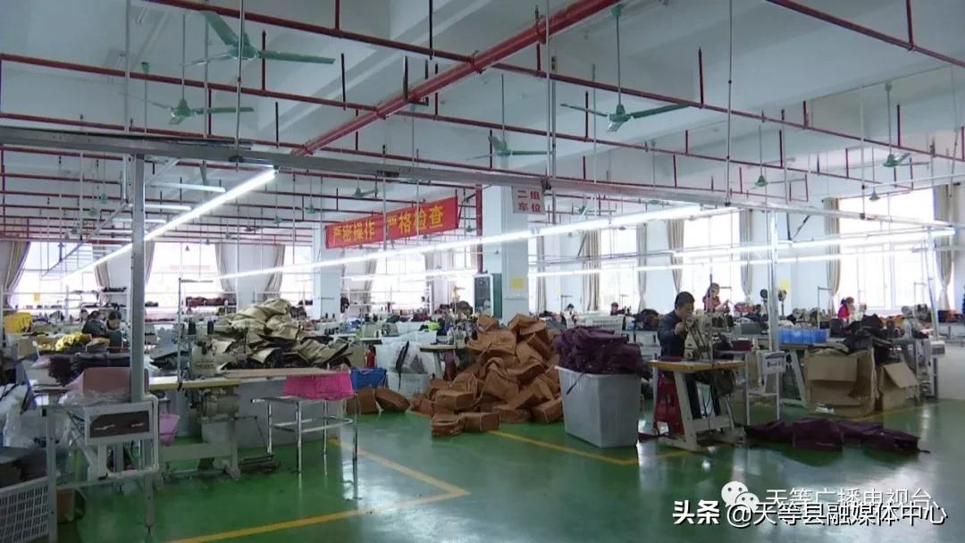 天等桥芬迪皮具有限公司：稳就业、惠民生、促发展