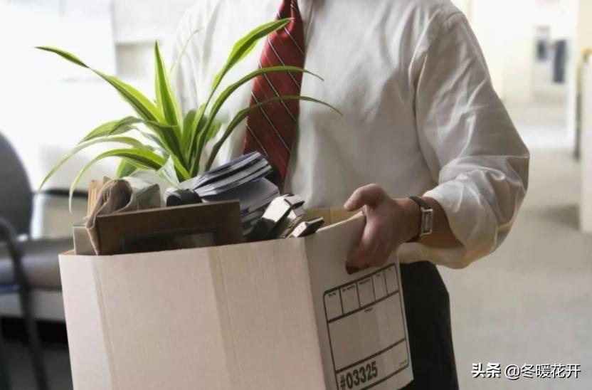 离职证明造假的后果,离职证明被发现造假有什么后果