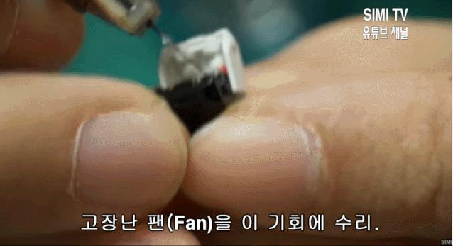 身价300万的仓鼠外网走红！住3层电梯豪宅，丰富娱乐，人不如鼠啊