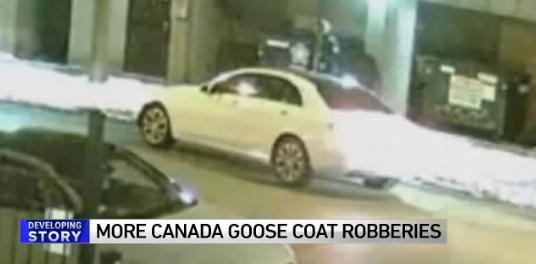 为什么加拿大鹅羽绒服这么贵,国内什么羽绒服能媲美加拿大鹅