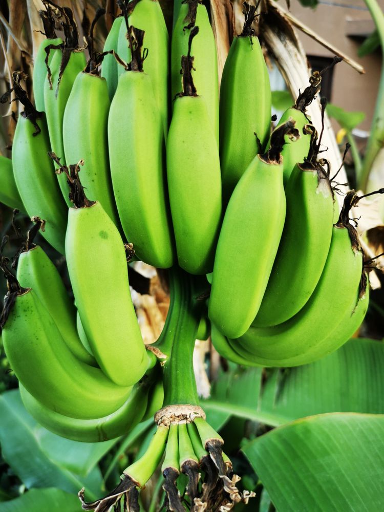 三亚冲浪旅行攻略,去三亚旅游看海