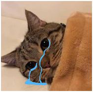 乐山市第三届足球联赛比赛,乐山市第二届青少年幼儿足球比赛