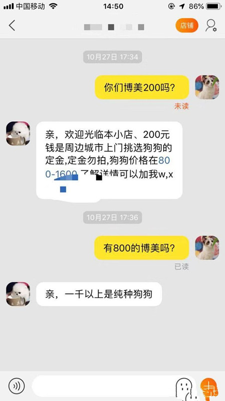 宠物市场买到星期猫,买猫怕买到星期猫该怎么做