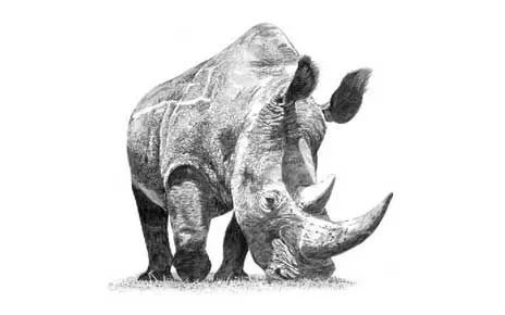 绱犳弿鍏ラ棬鍔ㄧ墿,绱犳弿鍔ㄧ墿瑙ｆ瀽