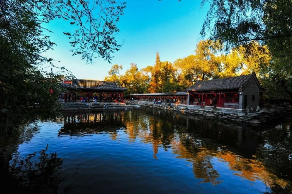 传疯了！北京第一美女找工作，简历惊呆全国！