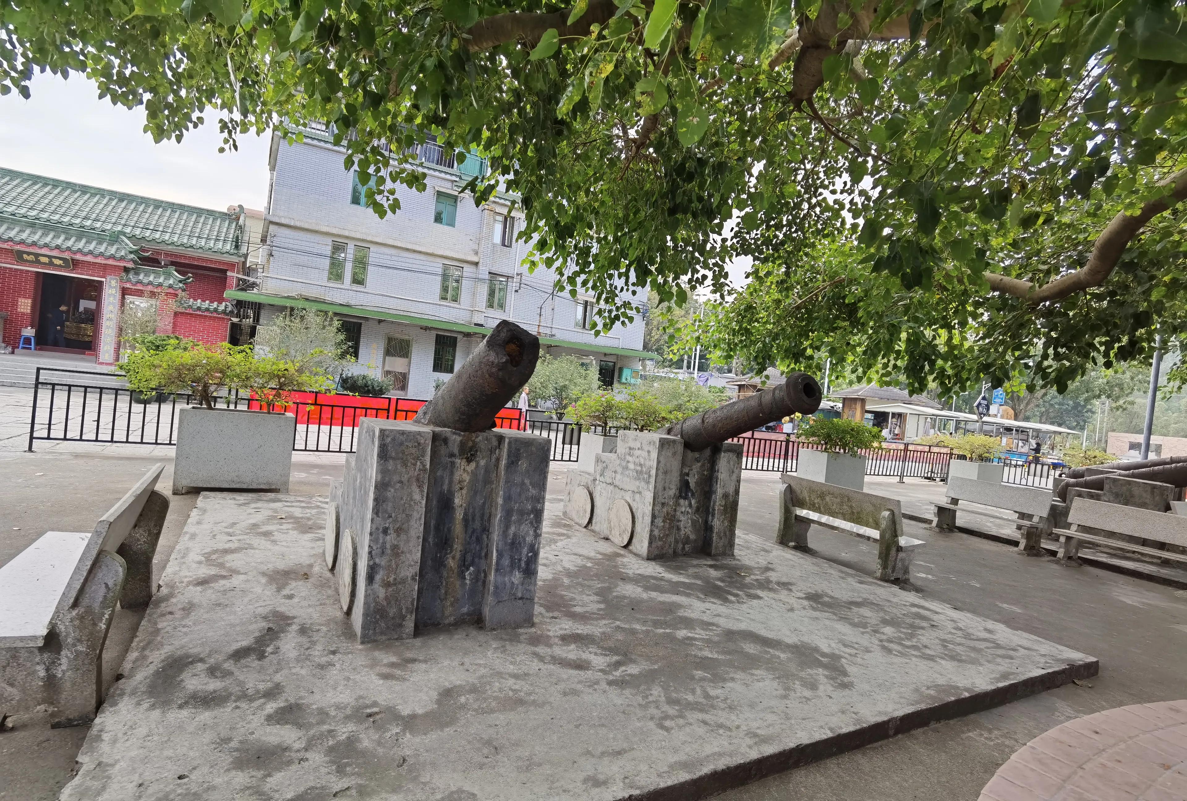 珠海淇澳岛红树林攻略,珠海桂山岛3天二夜的旅游攻略