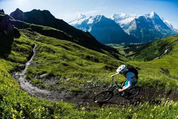 自行车维修入门教程,自行车快拆维修视频