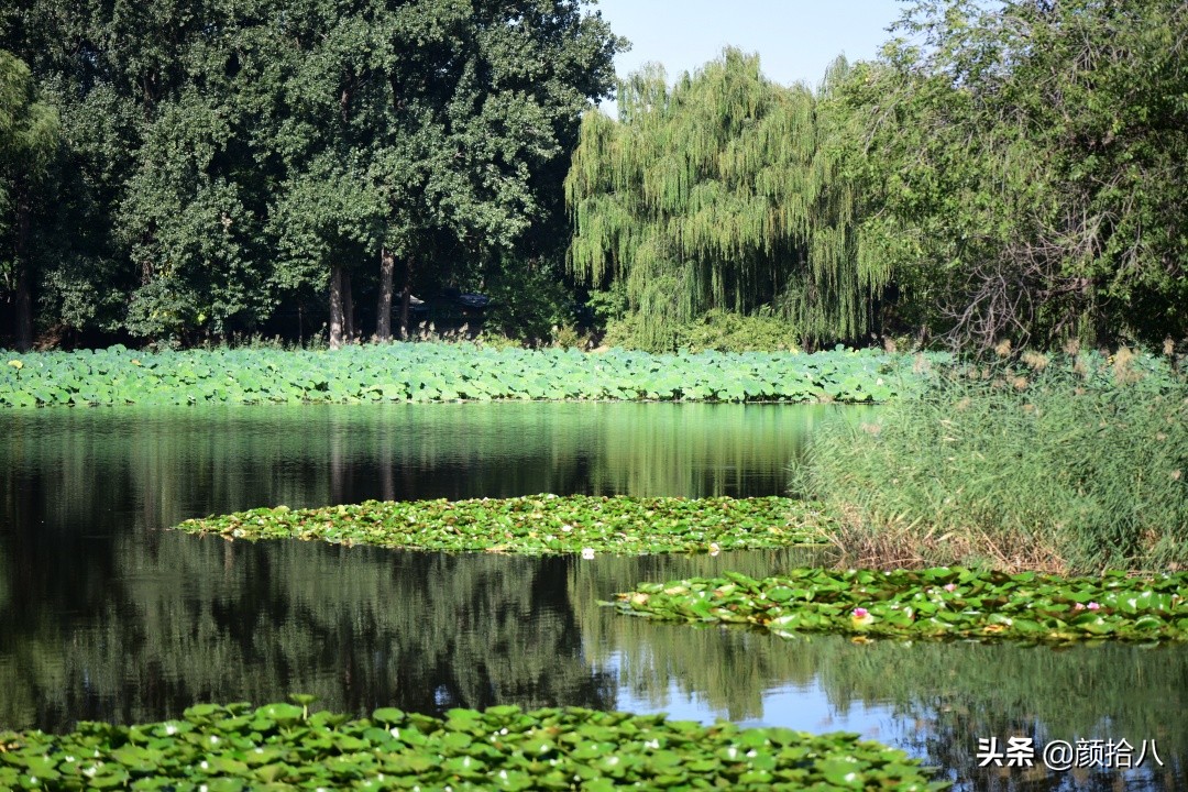 北京圆明园一日游推荐,圆明园秋色如画