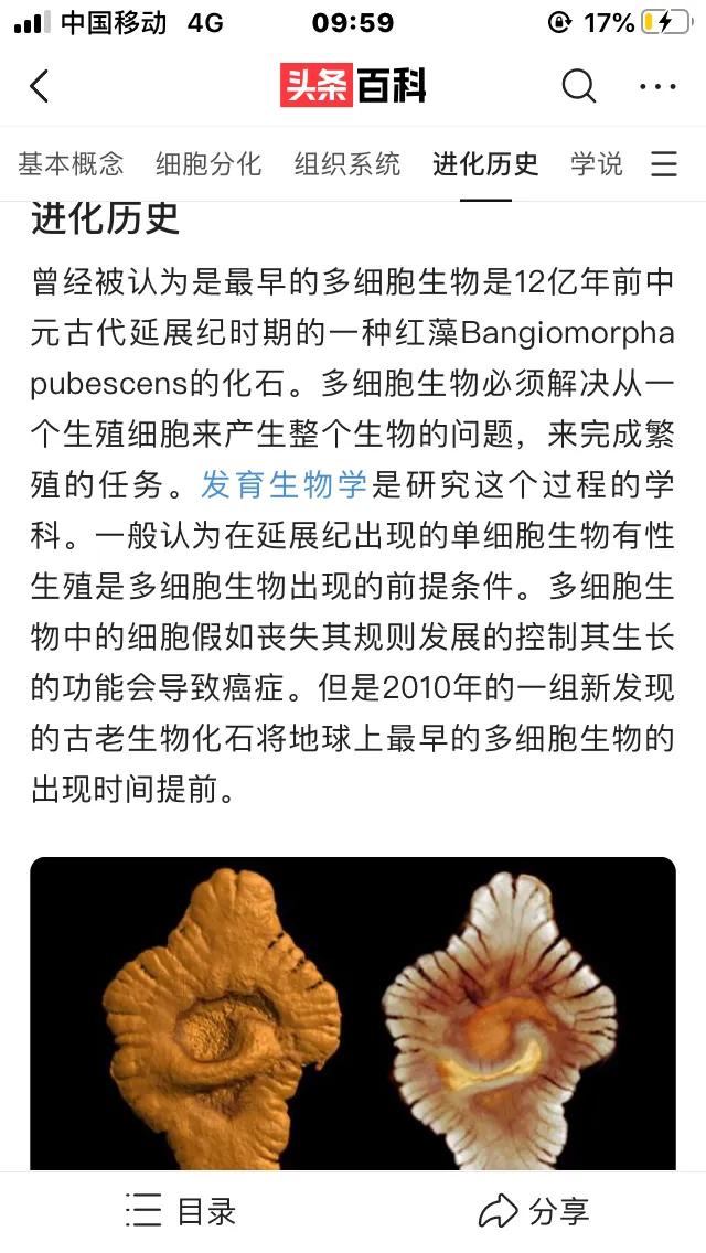 物种起源纪录片,物种的起源全文免费阅读