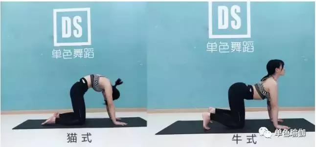 【腰椎保健操】练完腰不疼了||医生也推荐