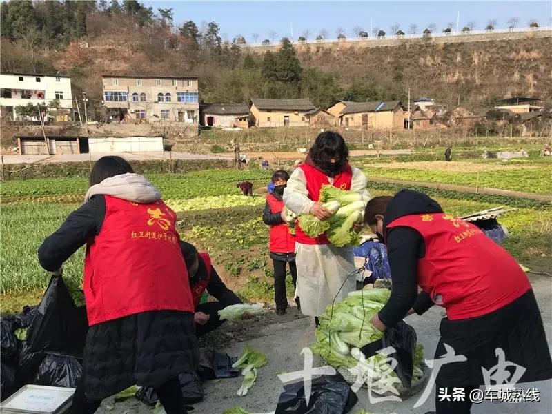 打赢这场仗就回去和你结婚图片,打赢这场仗就回去和你结婚完整版