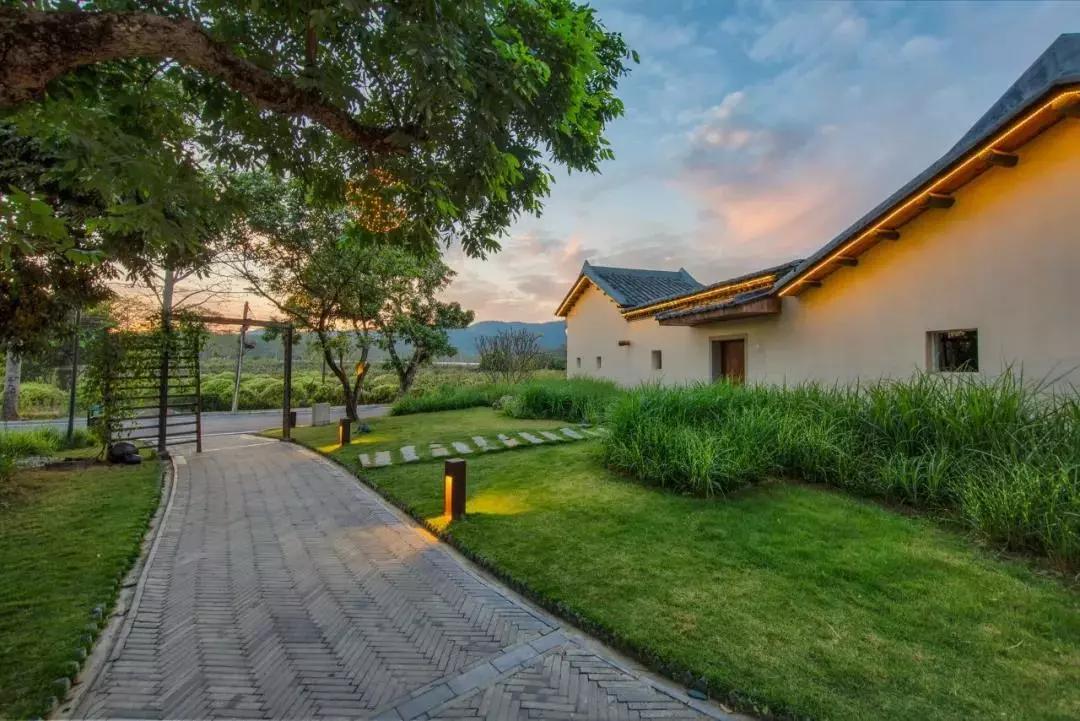 惠州秋长谷民宿推荐,惠州这家最有格调稻田民宿