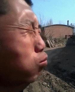 一周gif动图,一周gif图