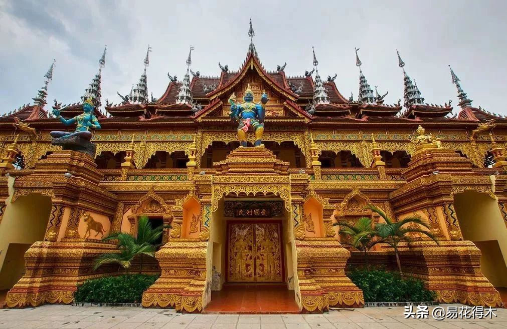 佛教为什么有五树六花,佛教中的五树六花图片