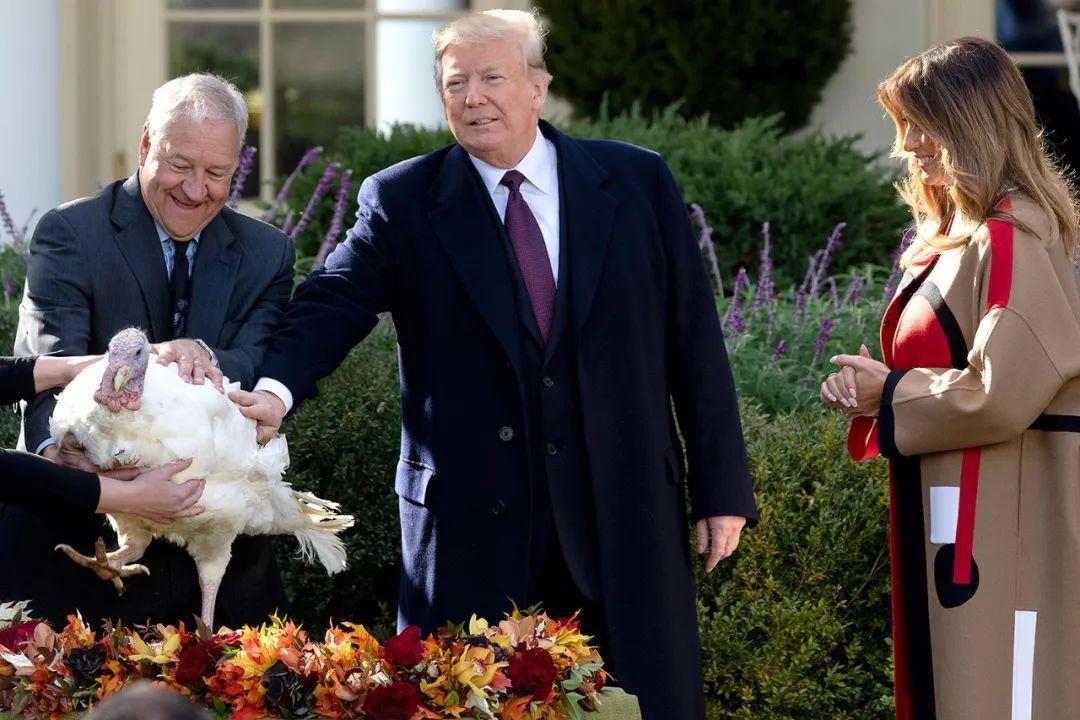 火鸡冷知识:为什么被叫做土耳其-新私塾