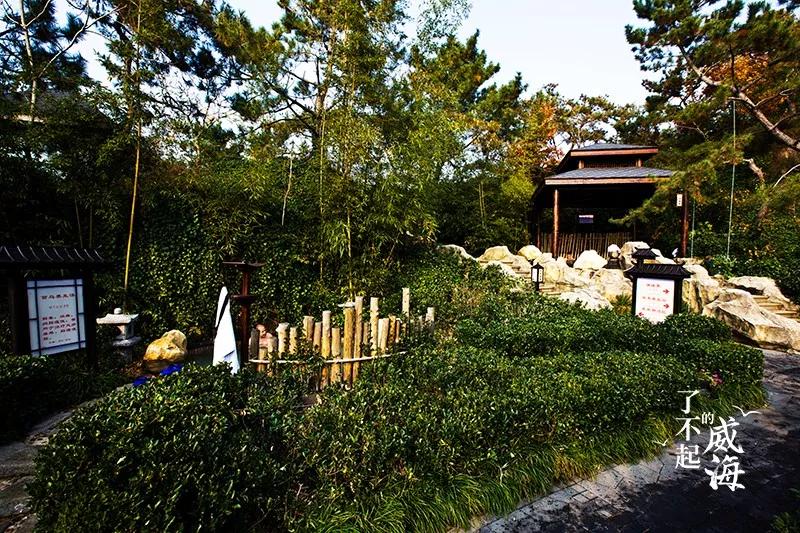 威海泡汤推荐,威海温泉有什么规划