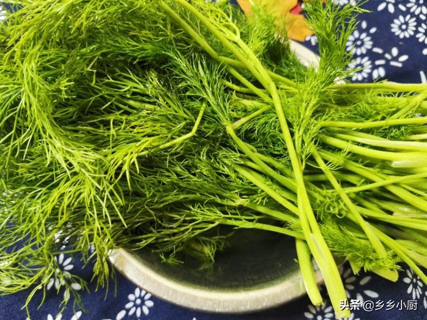 大厨做茴香鸡蛋饺子做法,5块钱的饺子用什么做的