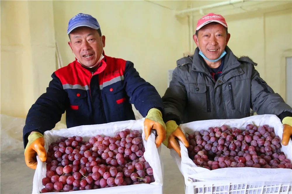 呼图壁县第一书记,昌吉呼图壁县委书记